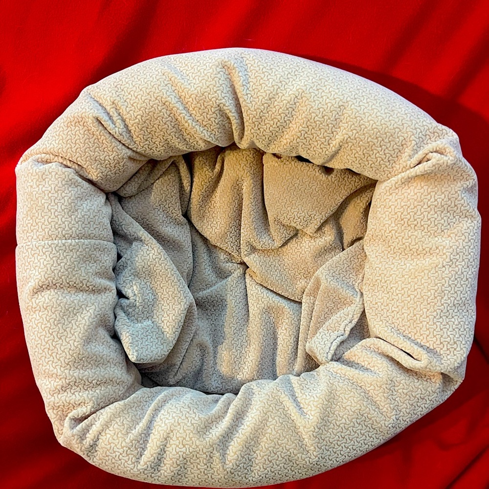 Gently used small dog or cat bed.  Small round dog bed in a light color.